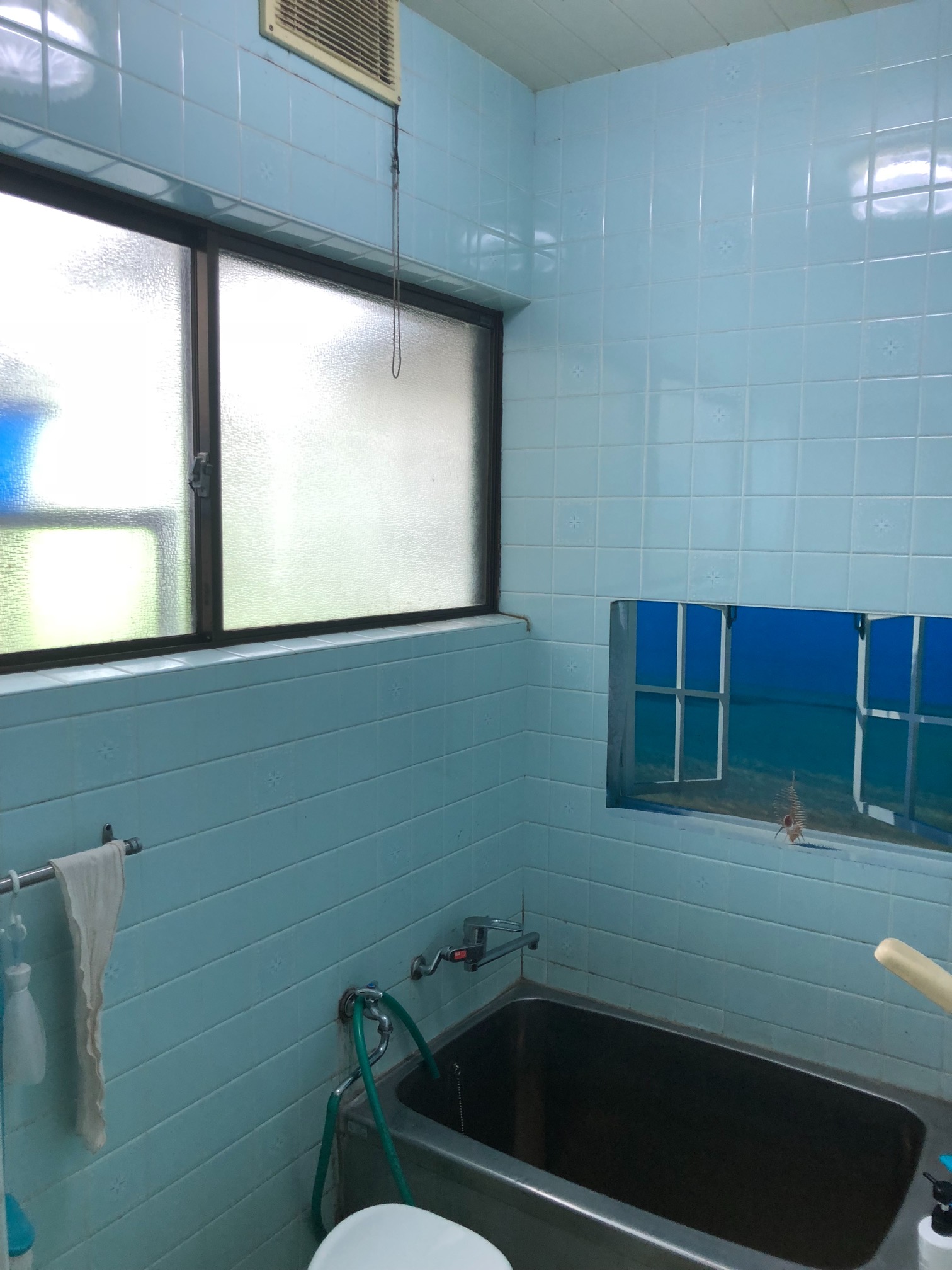 Before画像