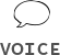 VOICE